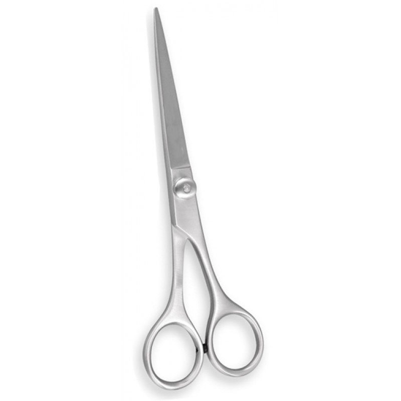 Hair Cutting Scissors