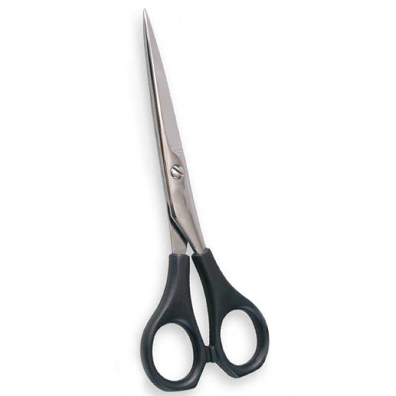 Plastic Handle Scissors