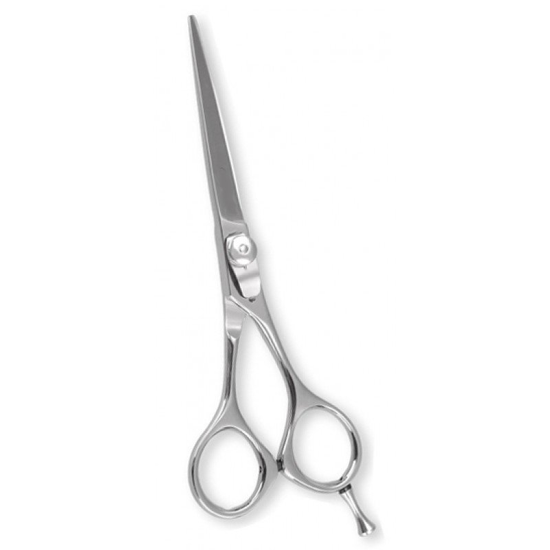 Professional Barber Shears