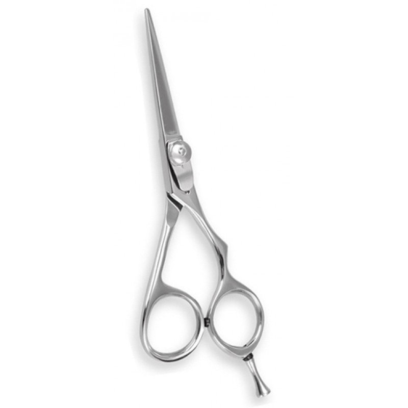 Professional Barber Shears