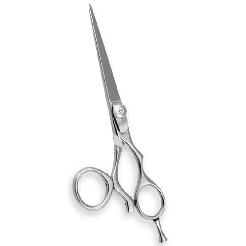 Professional Barber Shears