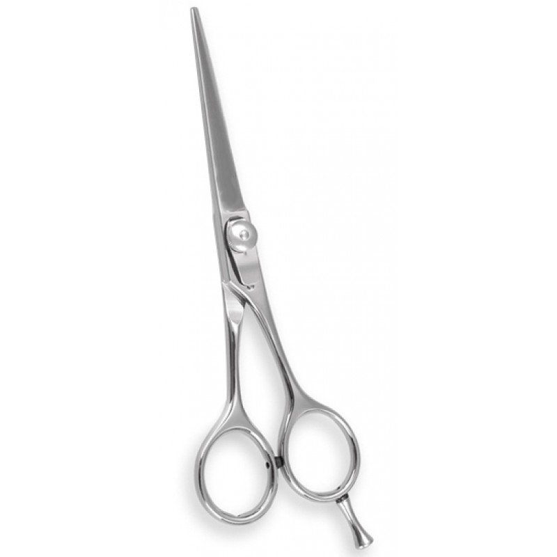 Professional Barber Shears