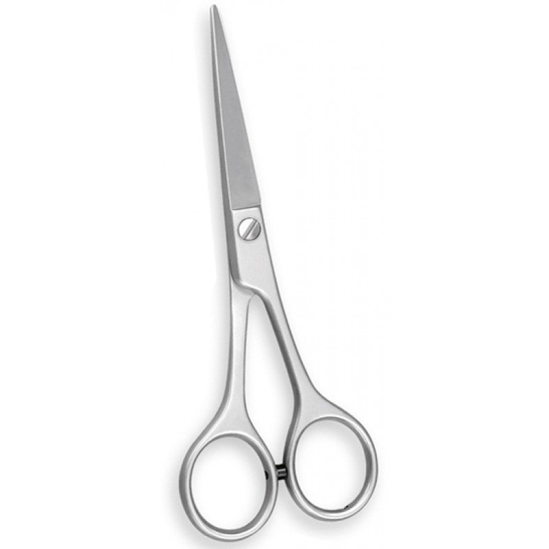 Professional Barber Shears