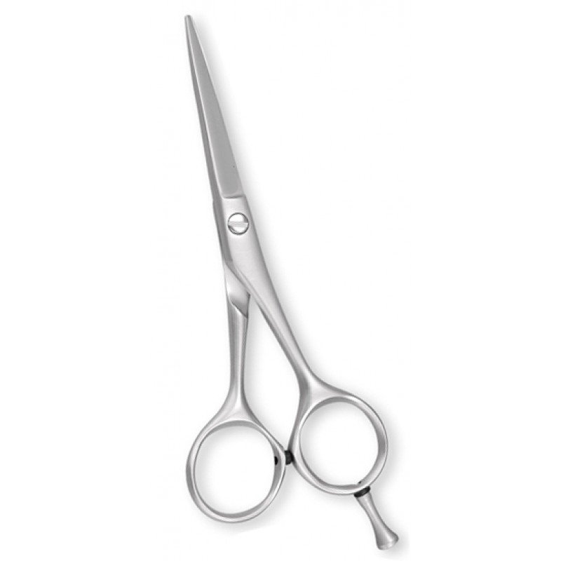 Professional Barber Shears