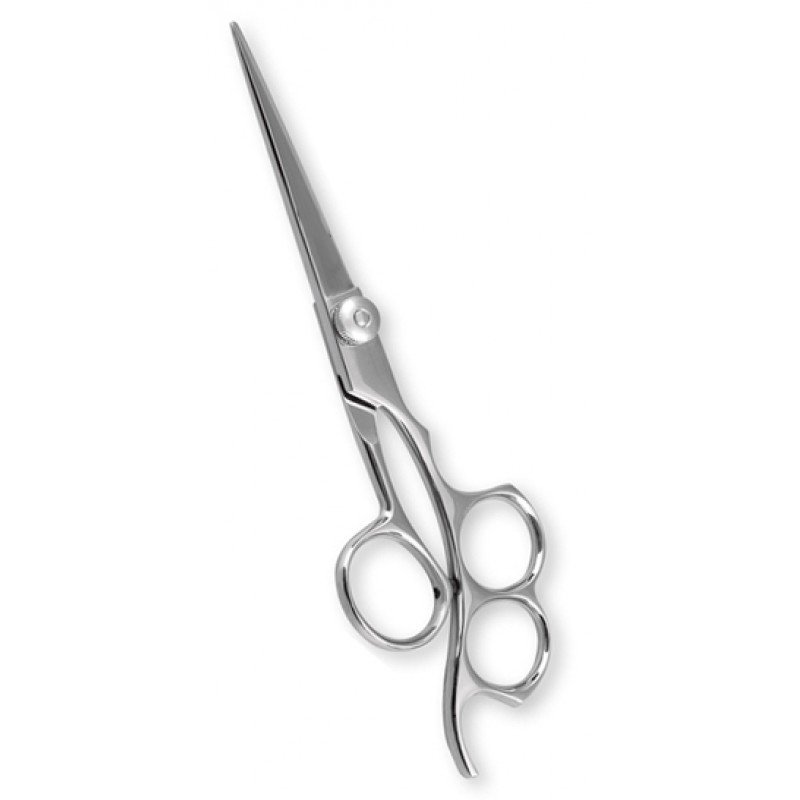 Professional Barber Shears