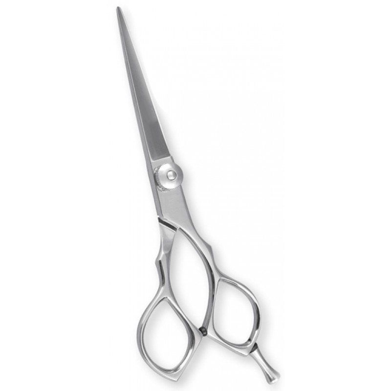 Professional Barber Shears