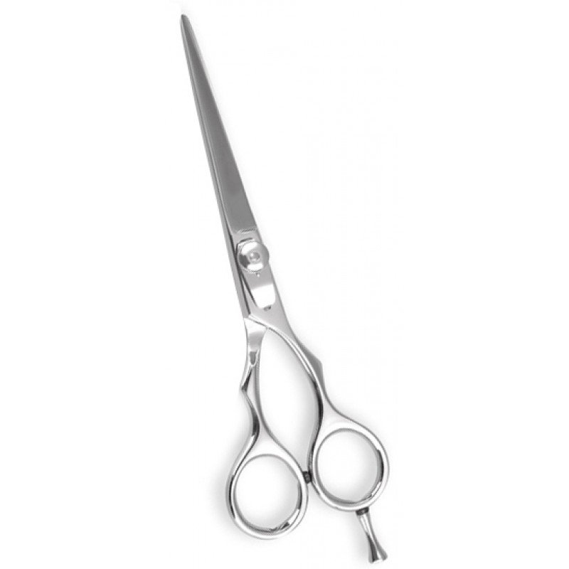 Professional Barber Shears